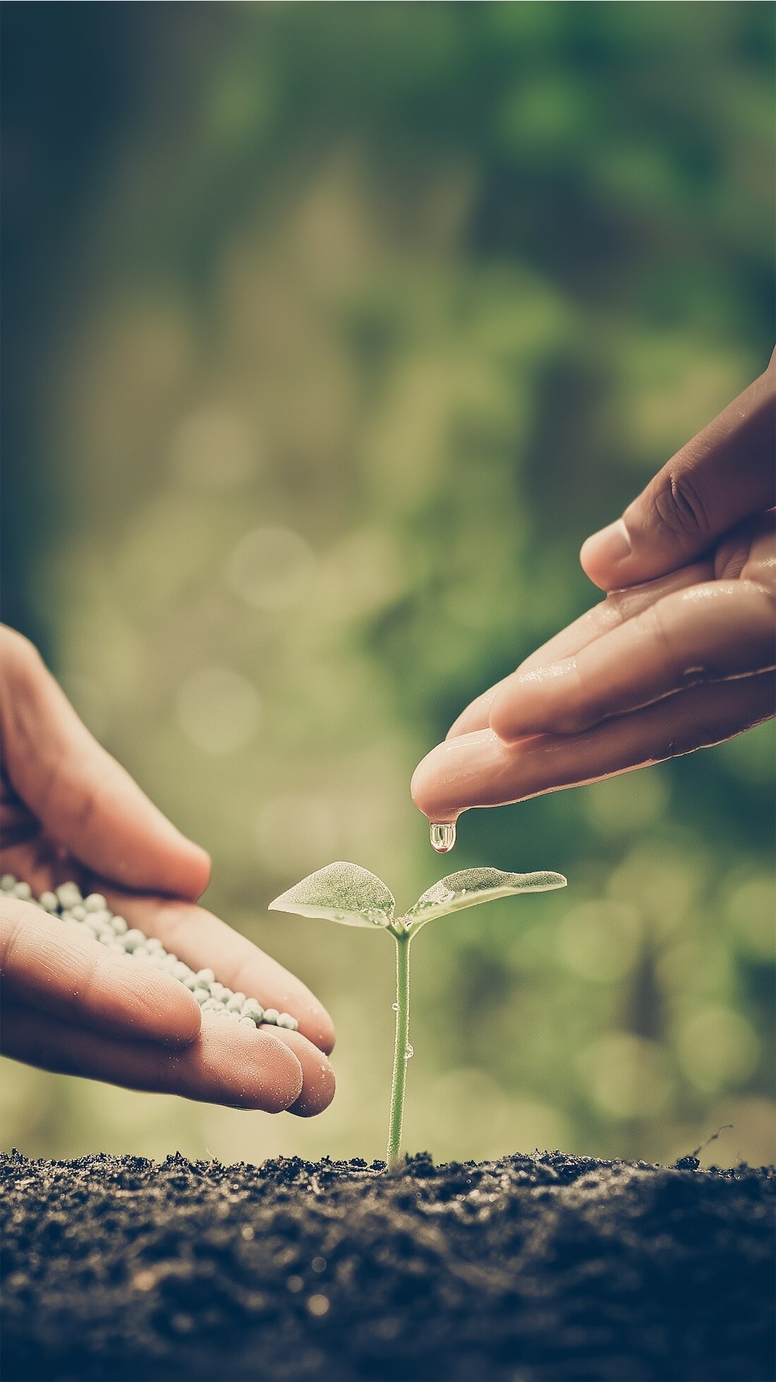 Sustainability Review